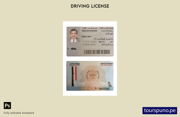 Plantilla de licencia de conducir de Egipto lista para imprimir